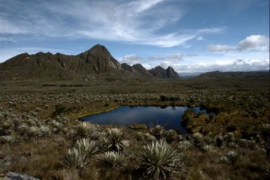 Parque Nacional Natural Sumapaz, el páramo más grande del mundo