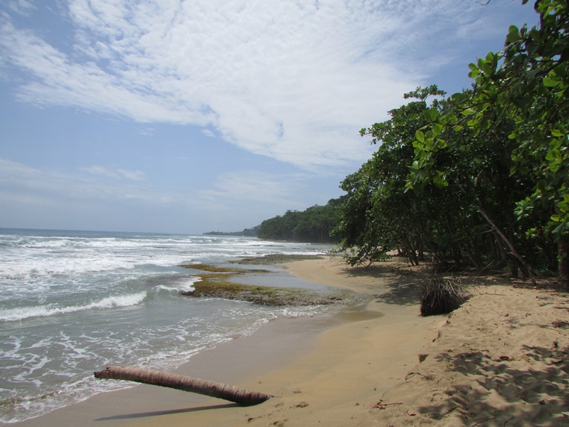 Montezuma: la biodiversidad de Costa Rica a tu alcance