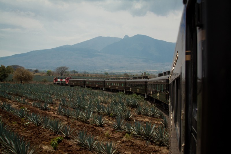 Tequila Jalisco el origen de la bebida mexicana más famosa