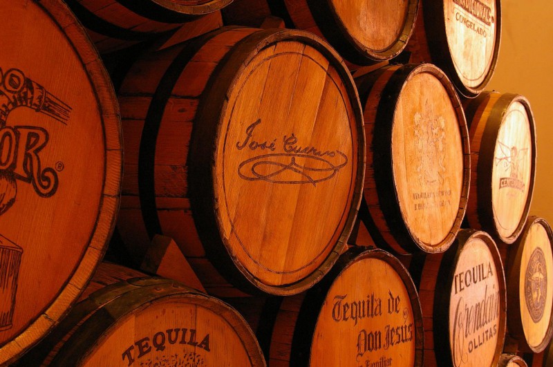 Viaje por La Ruta del Tequila y su Pueblo Mágico