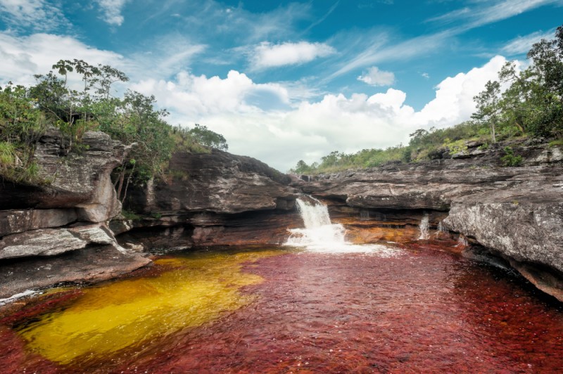 Situado dentro  la Sierra de la Macarena se encuentra el que quizás es el río más fotografiado del mundo y es que el río Caño Cristales
