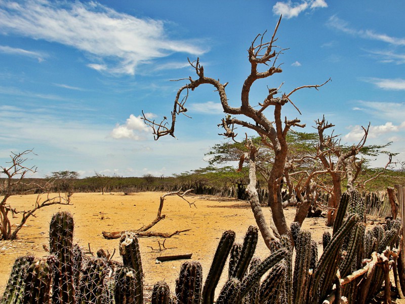 Paisajes de La Guajira: fusión entre desierto y mar