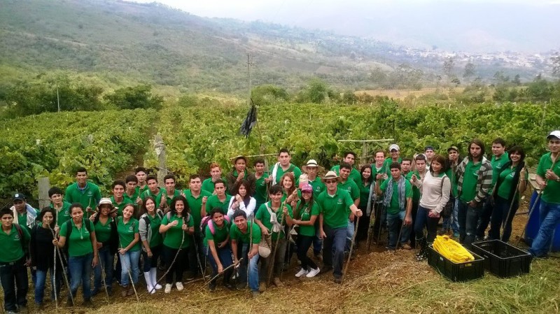 Viñedos en Colombia: turismo enológico