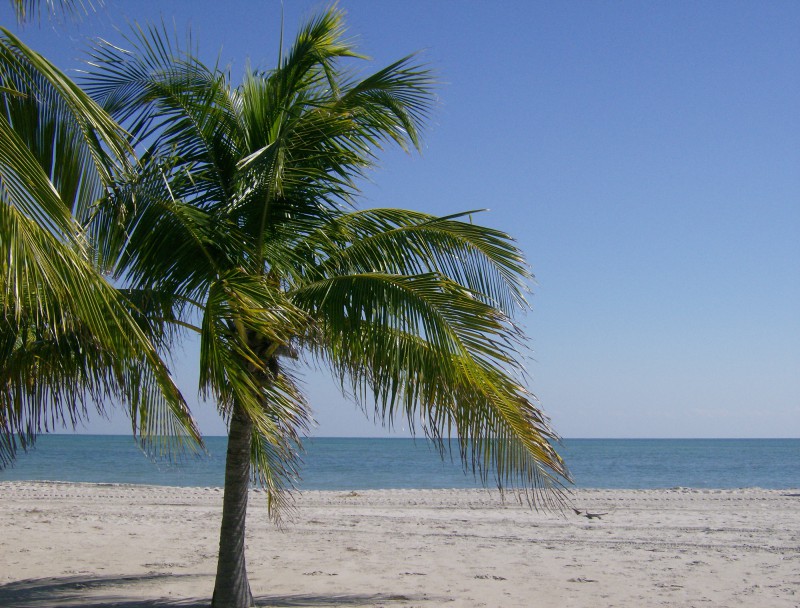 Planee un viaje a Miami para disfrutar unas vacaciones familiares