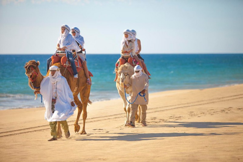 Actividades en Los Cabos: paseo en camello por el desierto